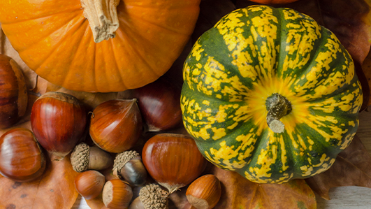Frutos de outono: benefícios e época
