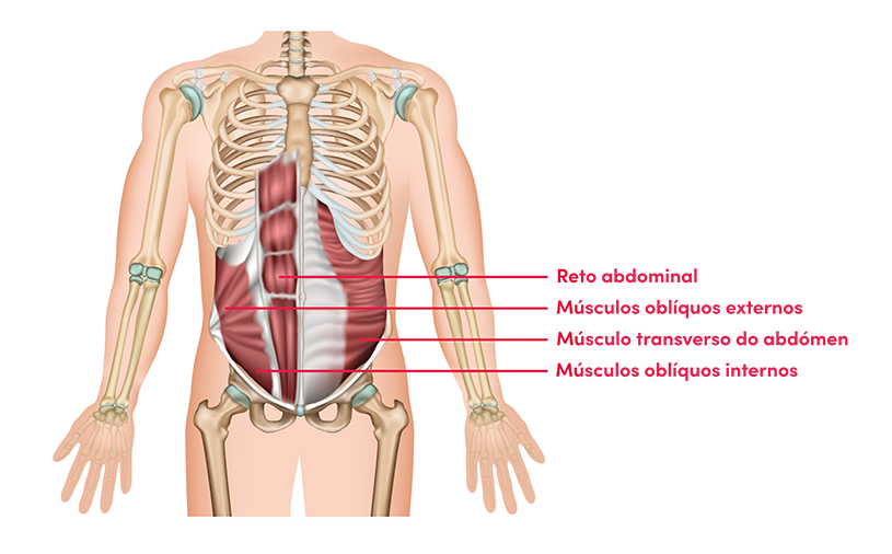 Treino de abdominais: exercícios para desenvolver a musculatura 